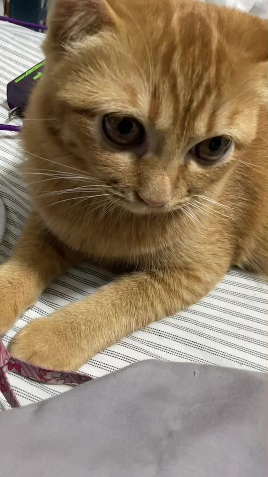 @สวัสดีวันเสาร์