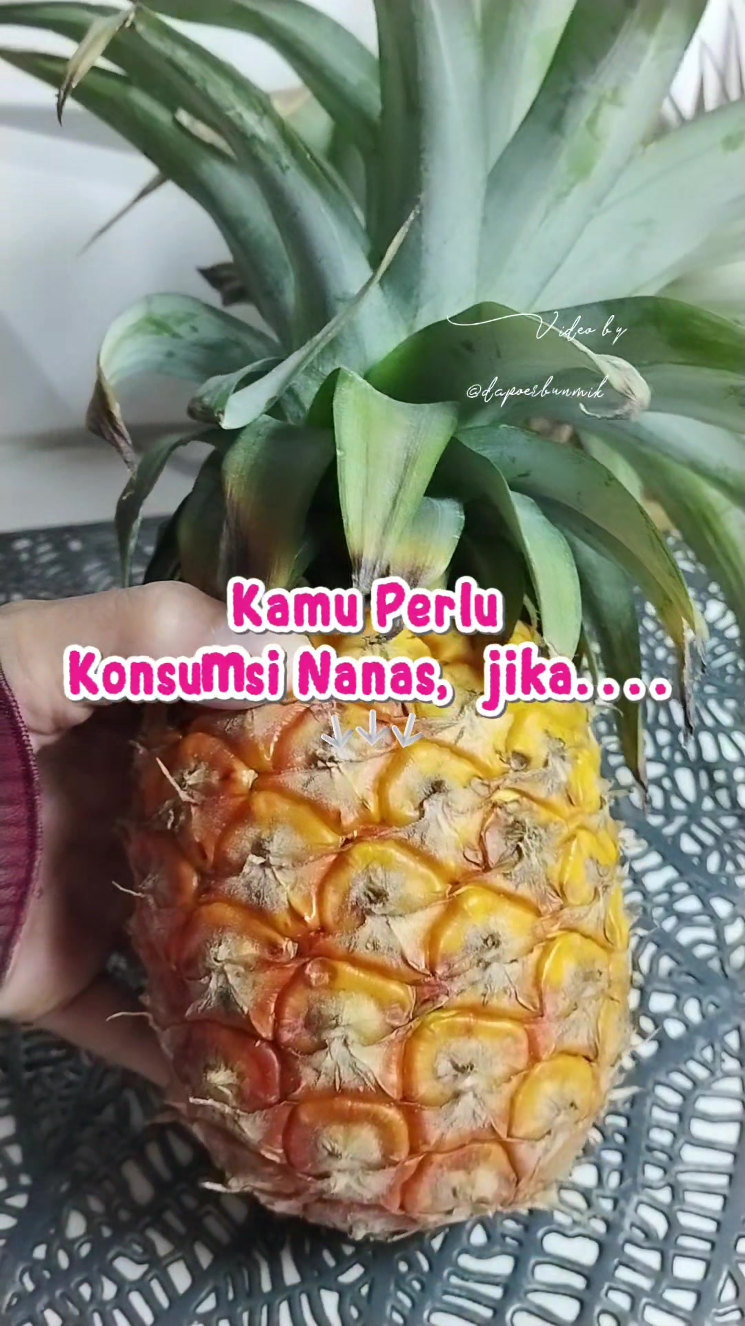 @dapoerbunmik