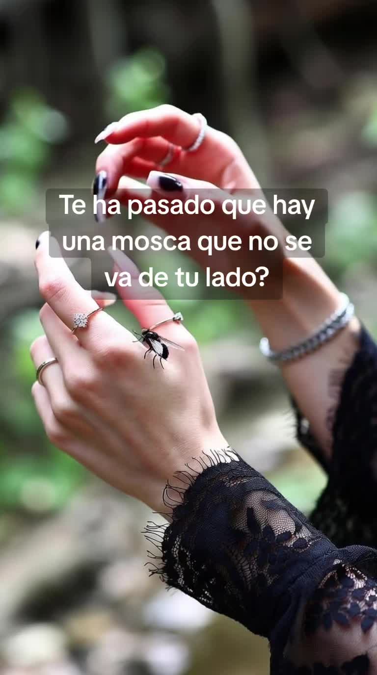 @Tarot de Sendale