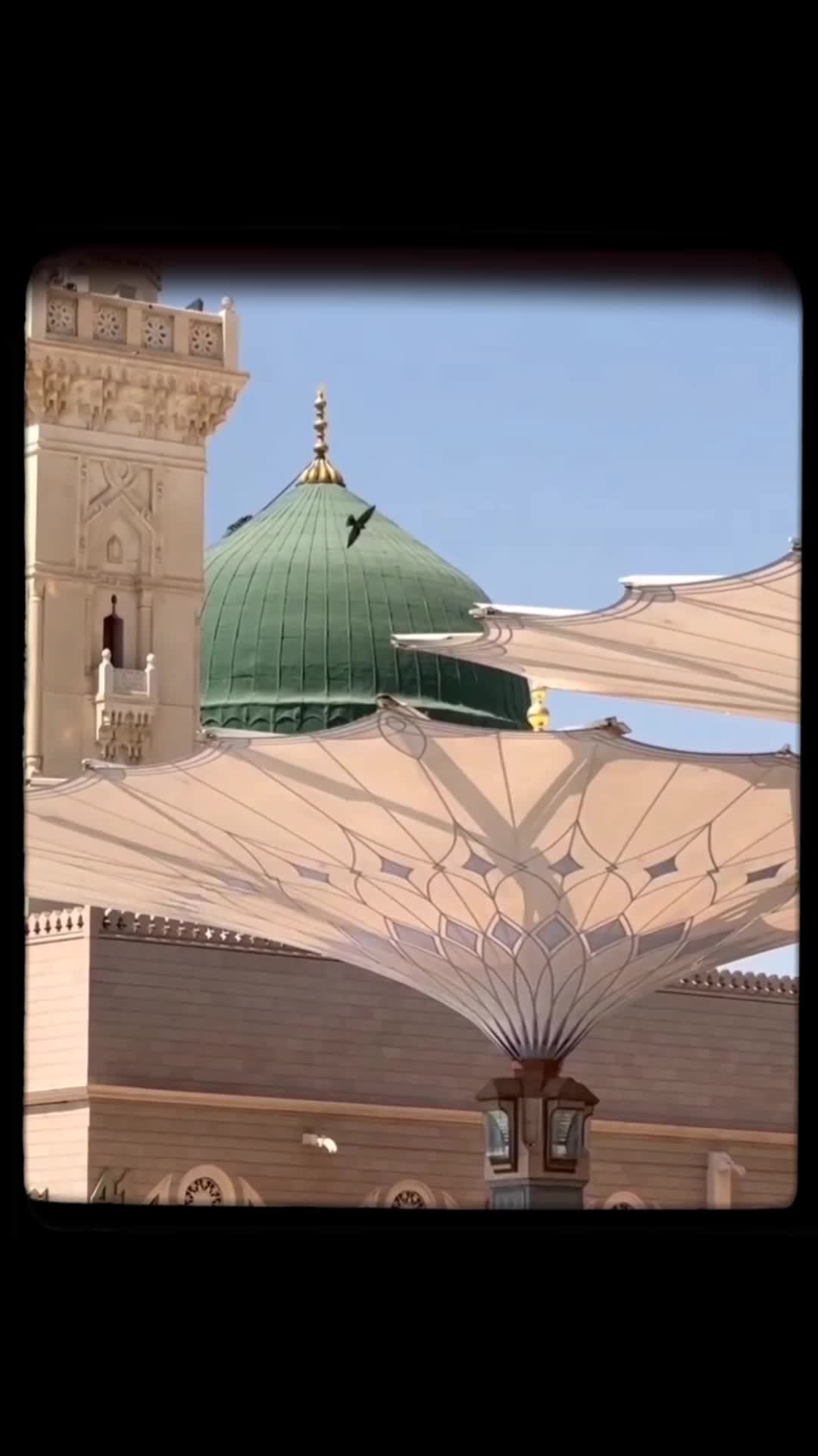 @Ishq e Madina🫀