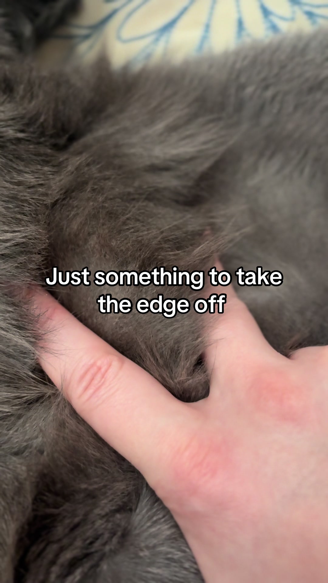 @Luna & Pluto