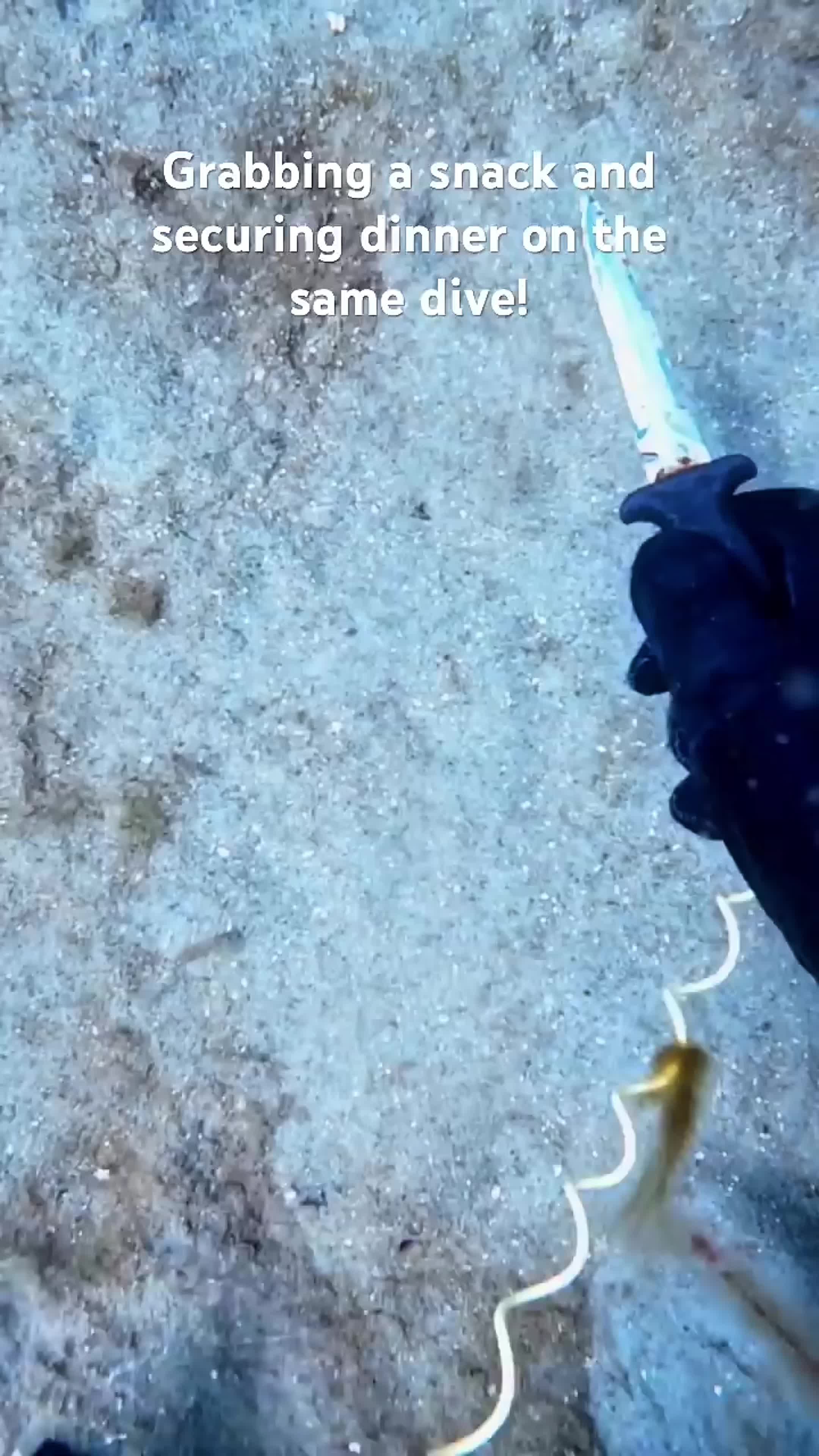 @fishy7780