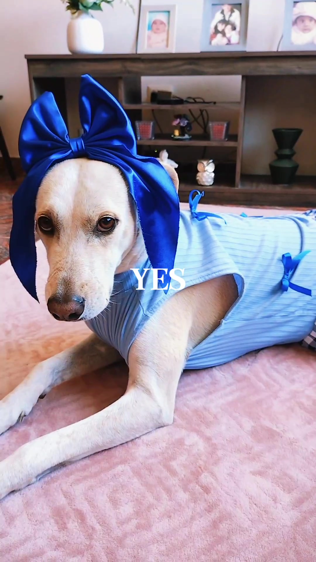 @winnie ❤🦮