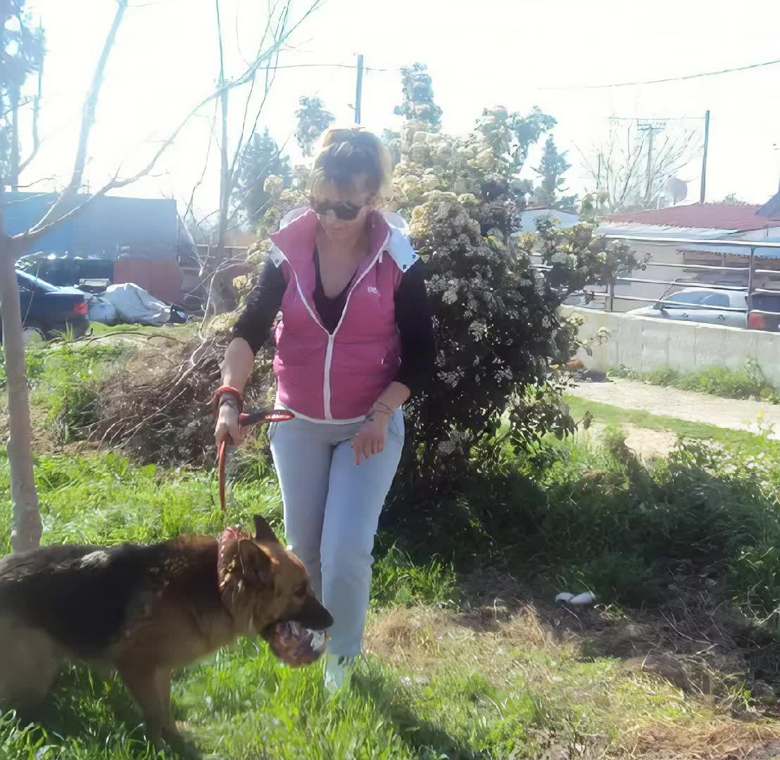 @Lena kostopoulou