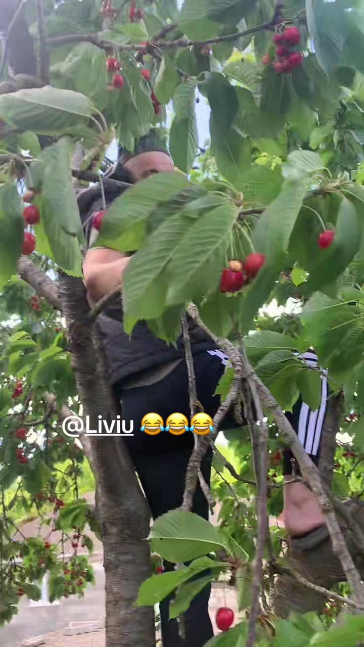 @ɴɪкᴇꪰ
