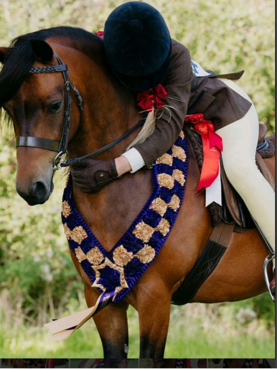 @🐴♦️Harlow&Ruby♦️🐴