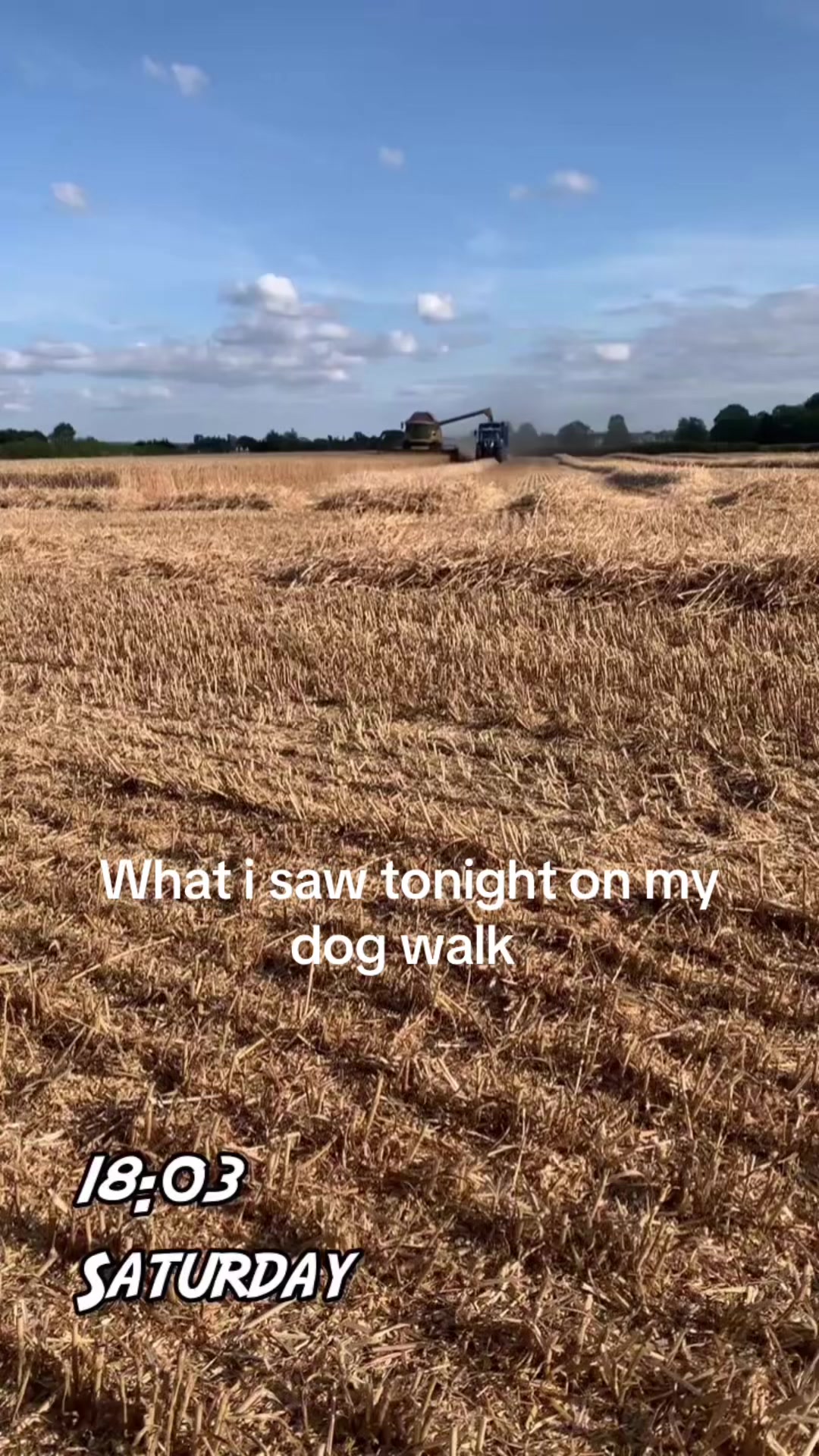 @Farmer Adam