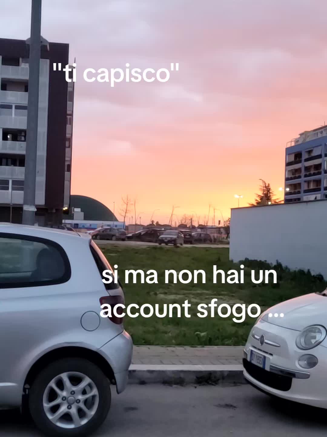 @account.sfogo8