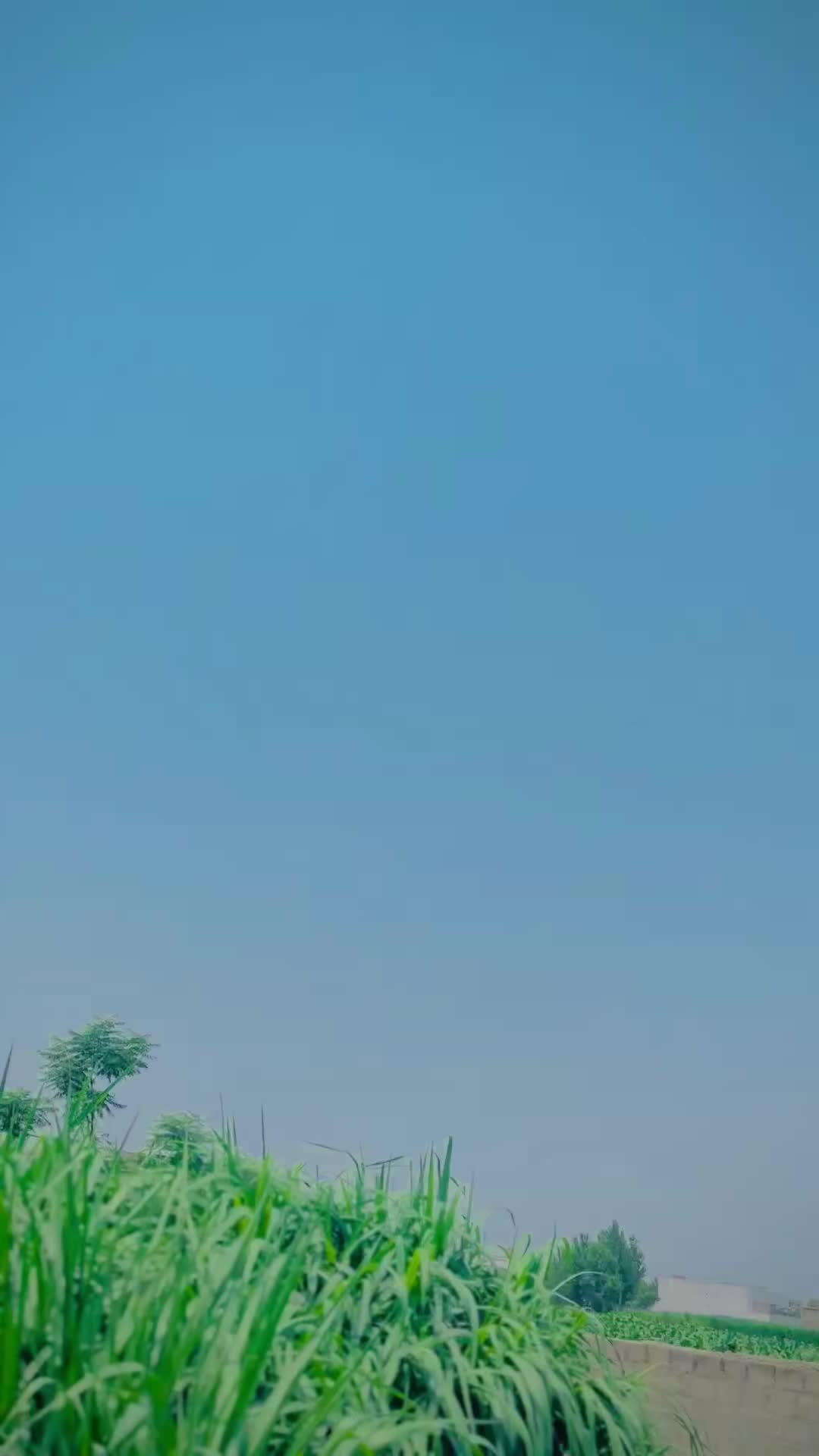 @𝘼𝙕𝘼𝙉  🦅 𝘽𝙖𝙘𝙝𝙖