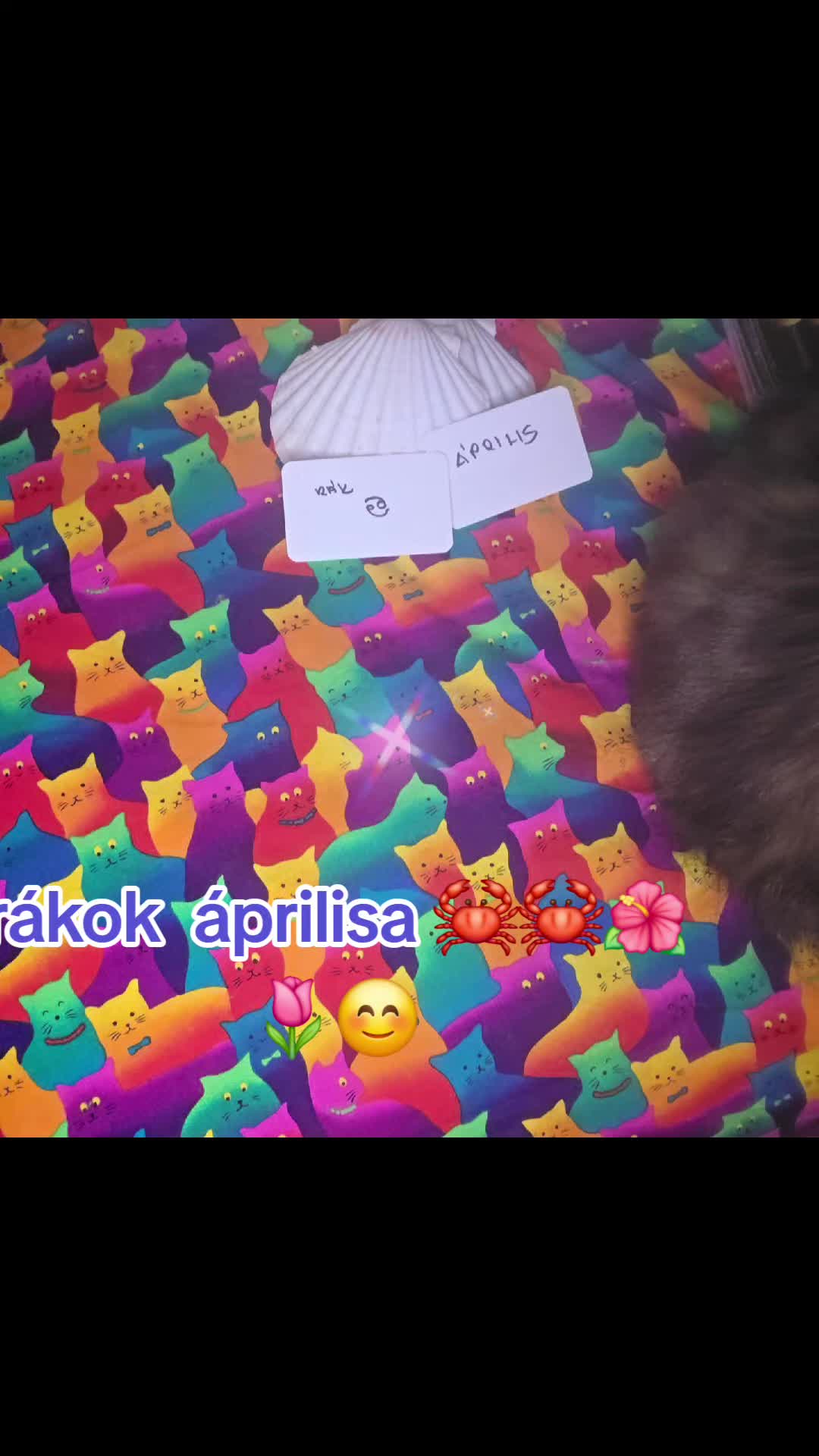 @szakr&aacute;lis var&aacute;zs