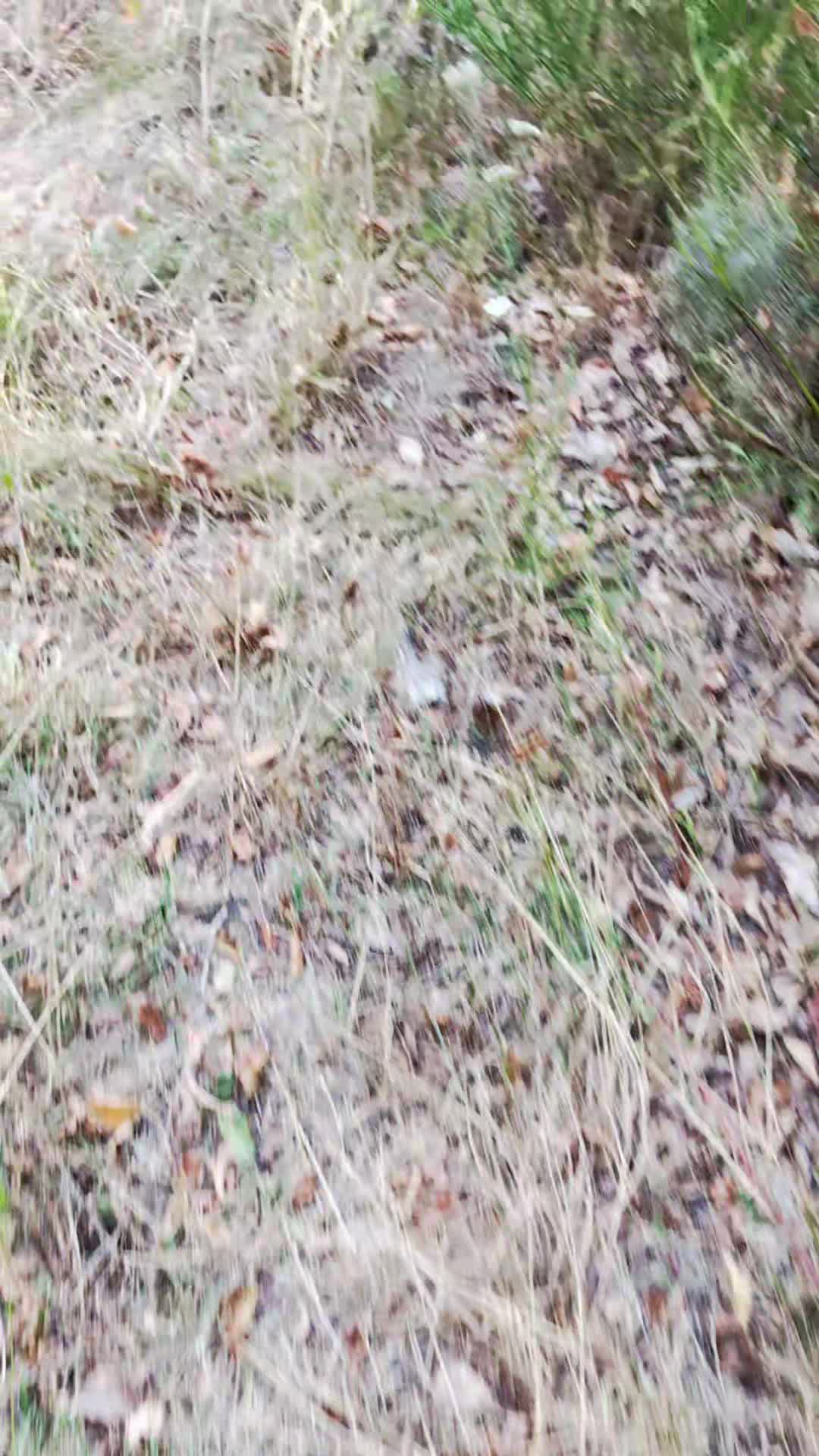 @🍀Bᚱᚨᚷᛁ🍀