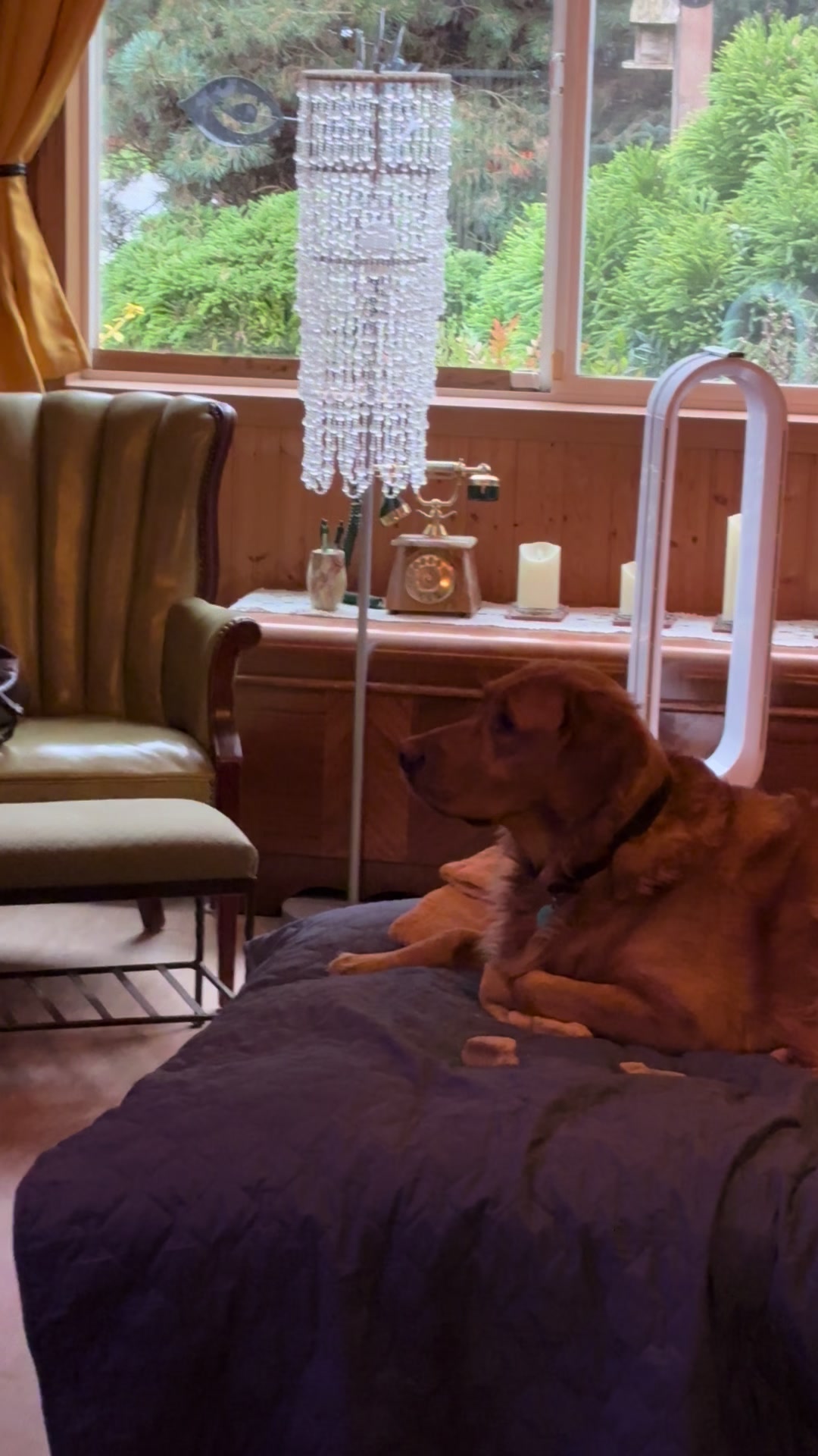 @ElliotandErnie
