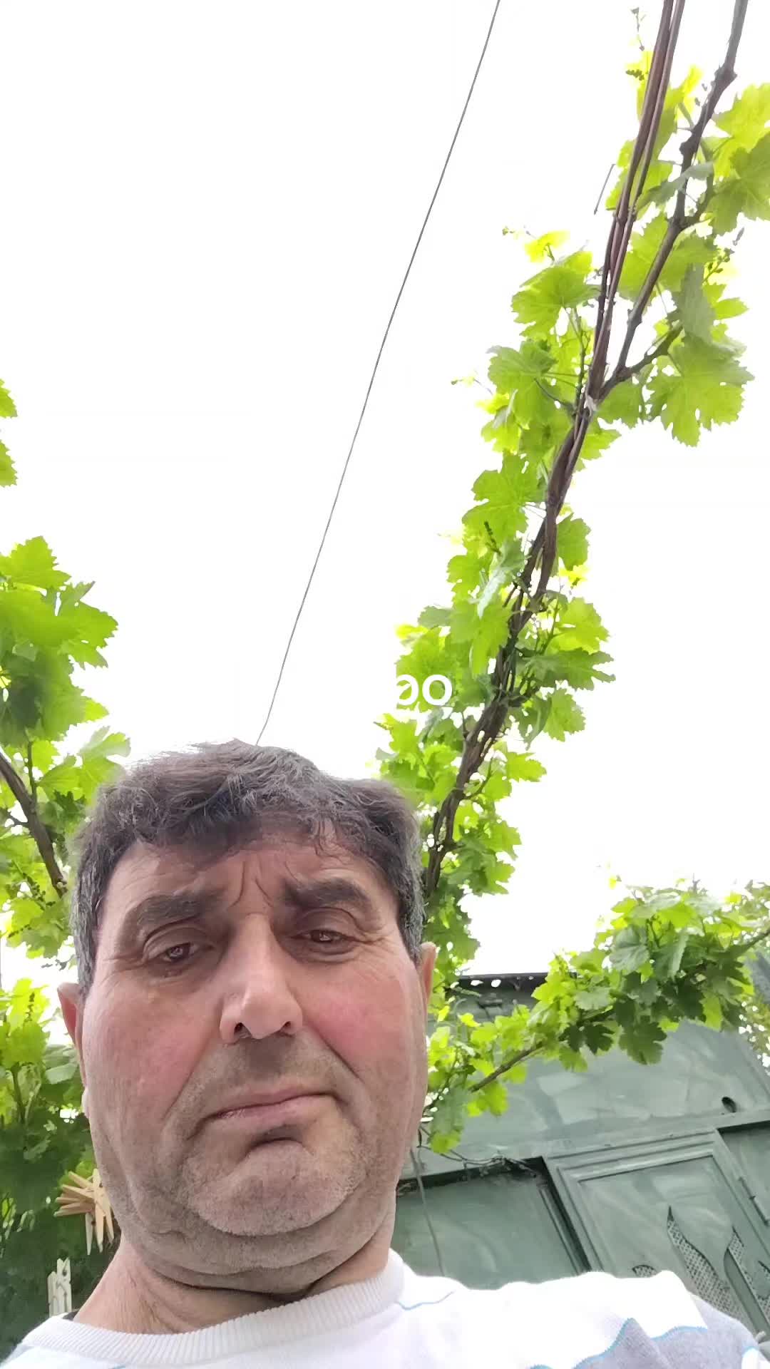 @rambo
