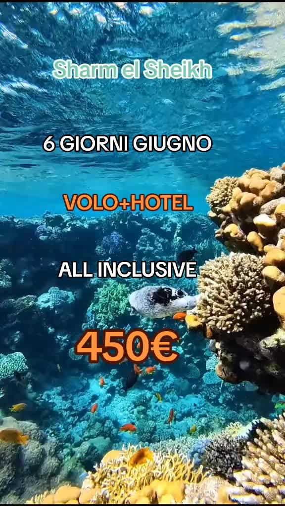 @viaggiacolmerlo