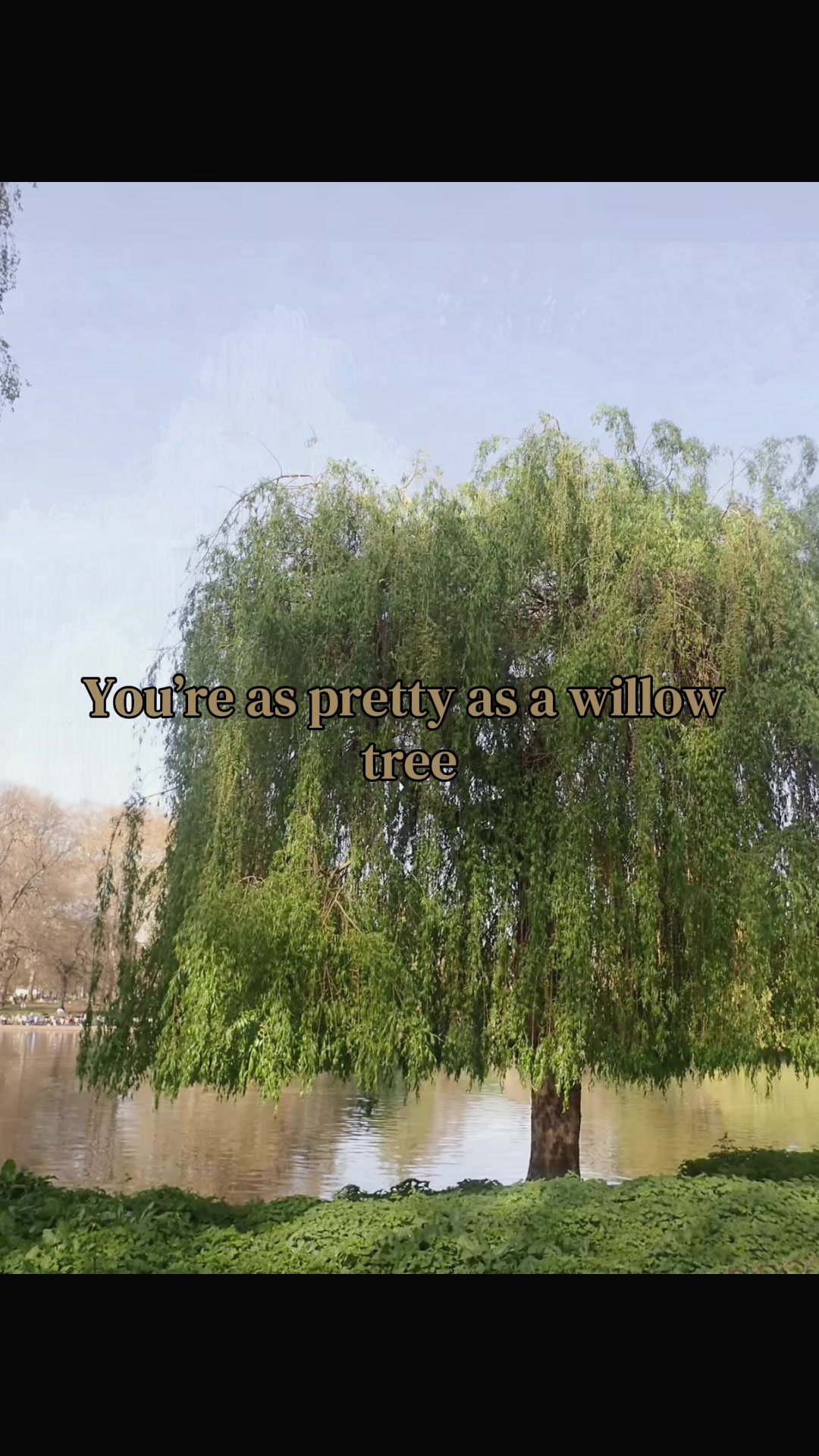 @⋆˚꩜。༺𓋼𓍊𝐹𝒶𝑒𝒯𝓇𝒶𝓅𓍊𓋼༻☆