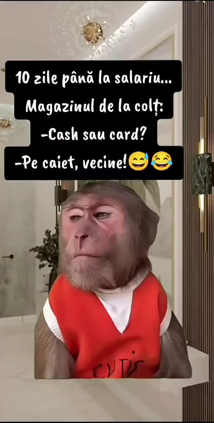 @Elena Cotia