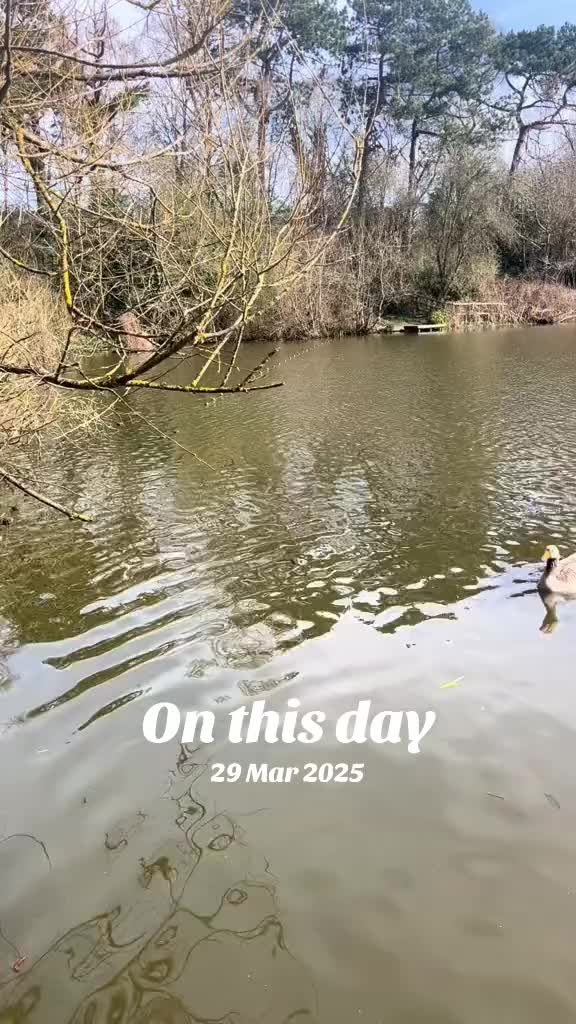 @Story88