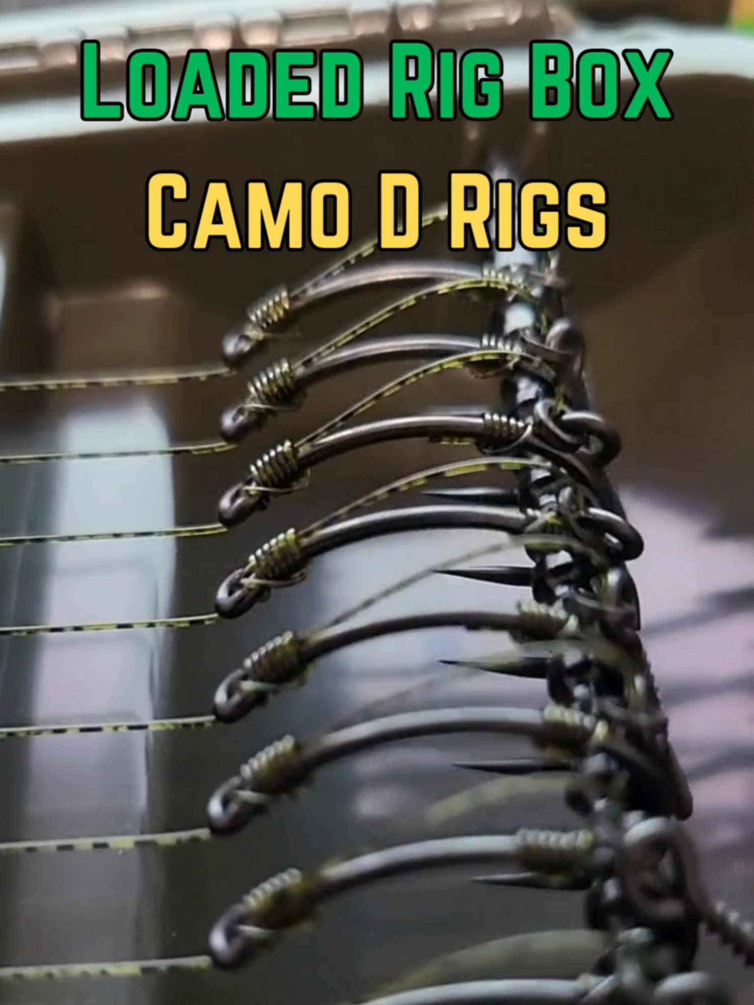 @Thats Carpy Rigs