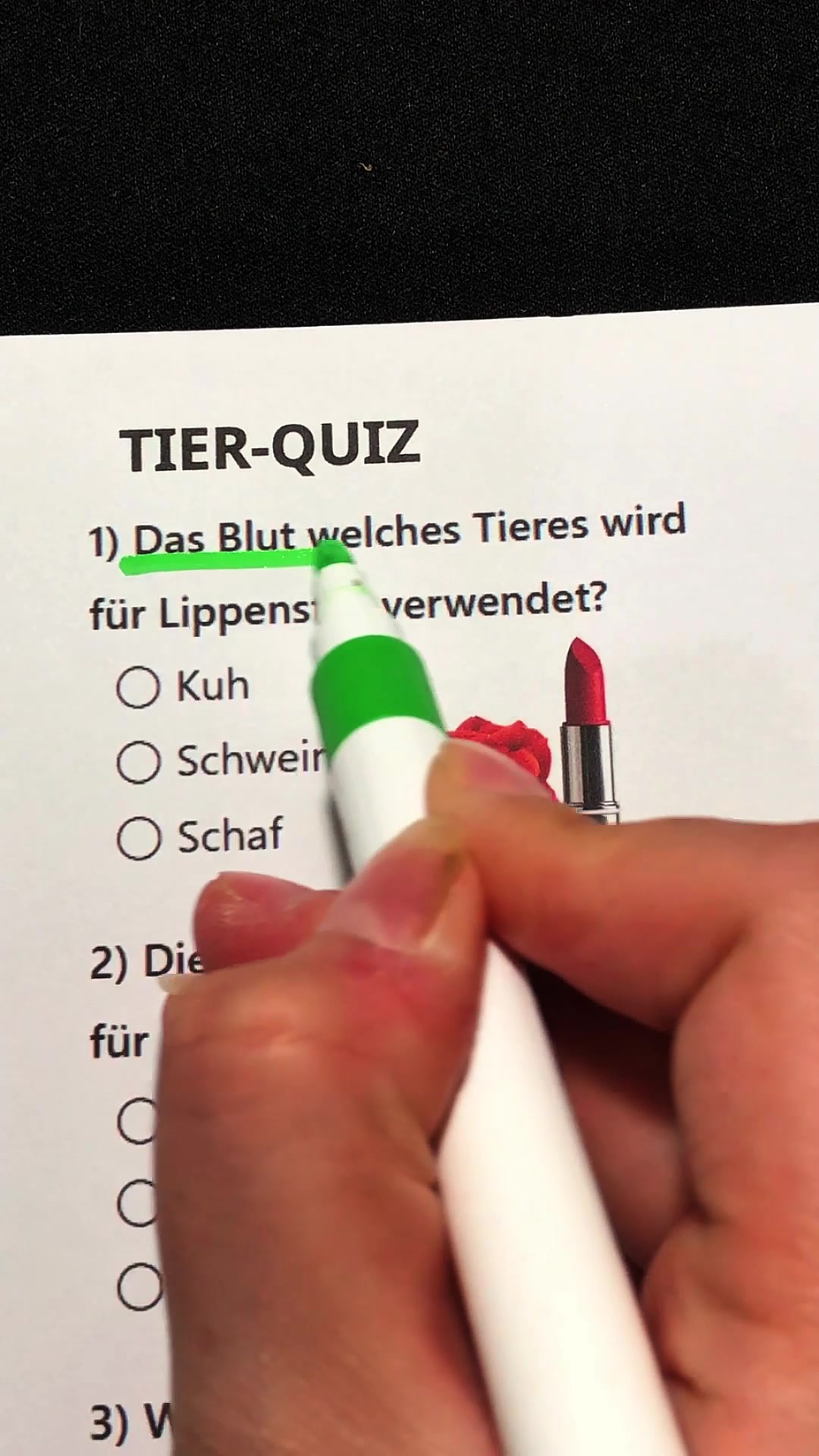 @Base Quiz