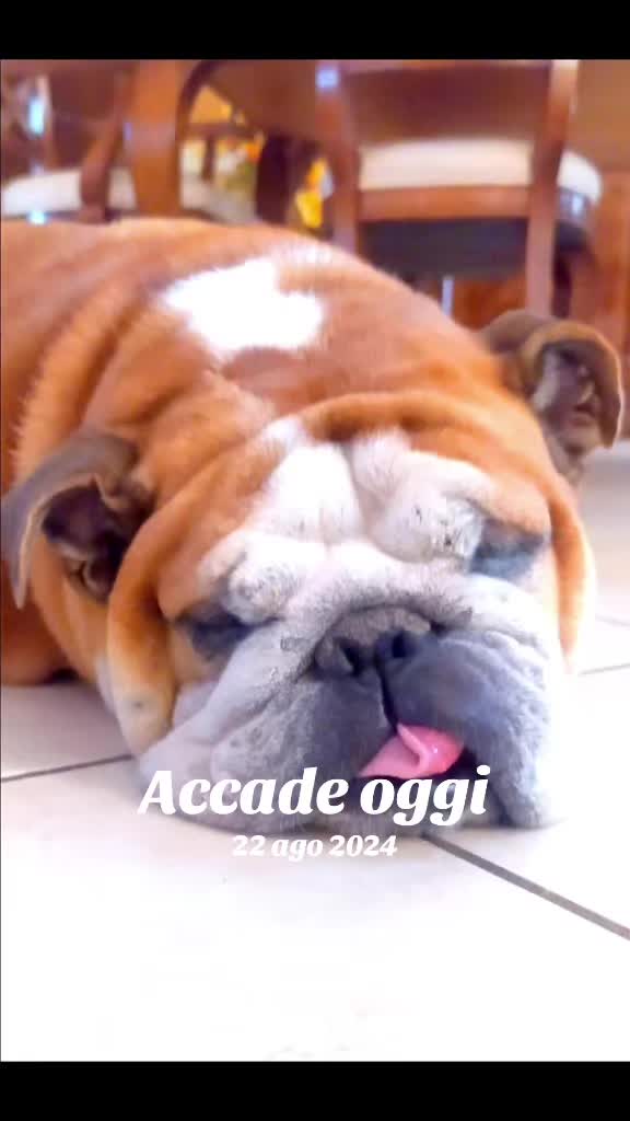 @Carmen De Simone