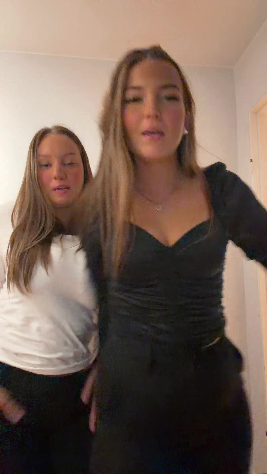 @frida sandström🪿