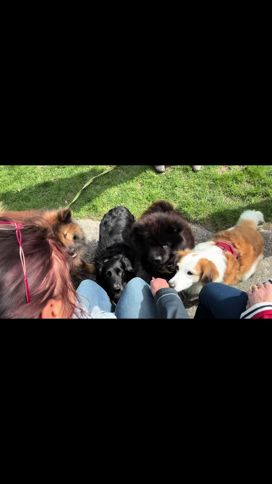 @Nounours et compagnie