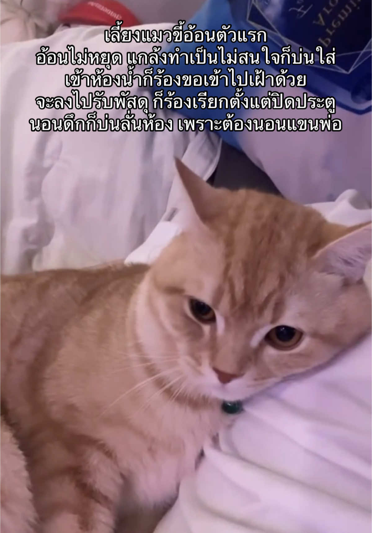 @เบนนี่บุ๊ค