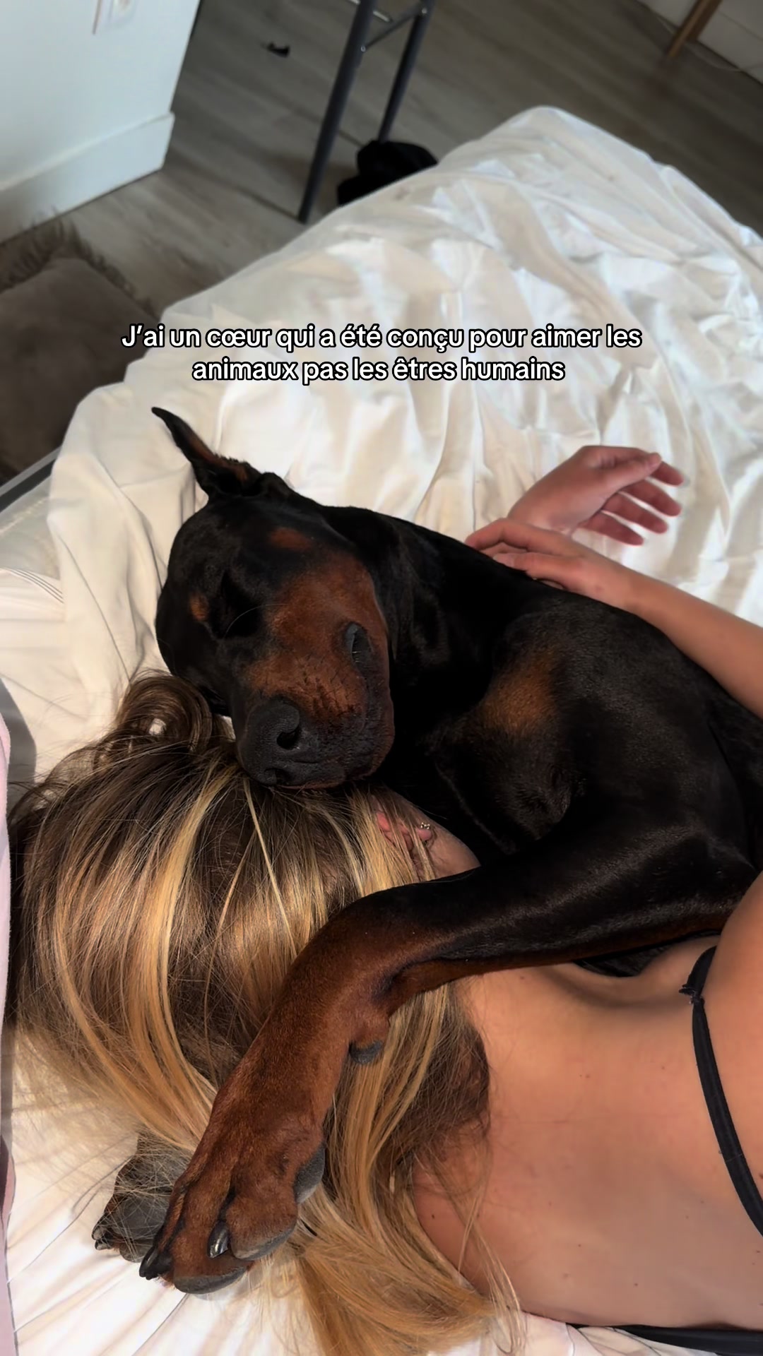 @skayko.ma