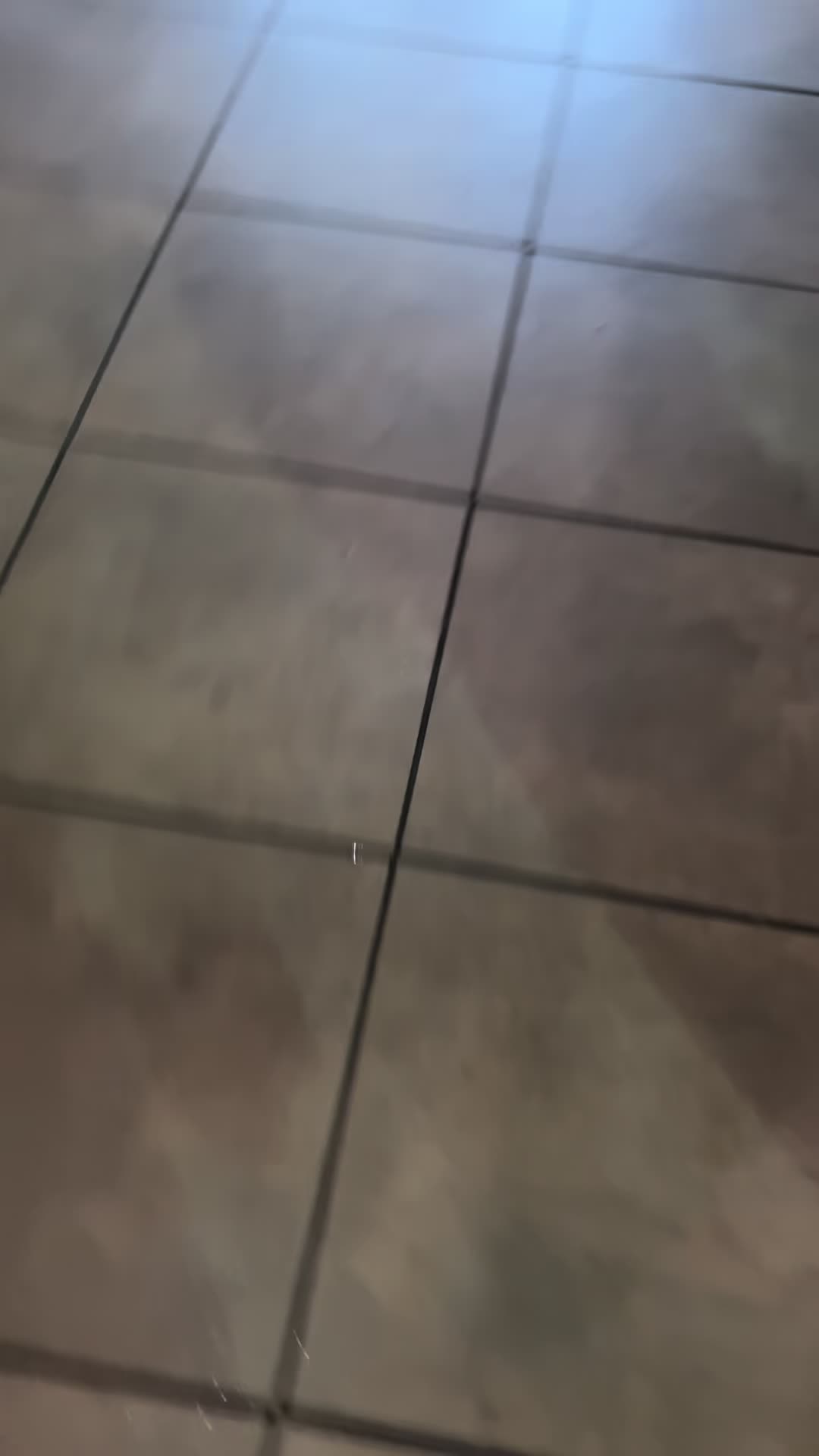 @mylittlepoopy6