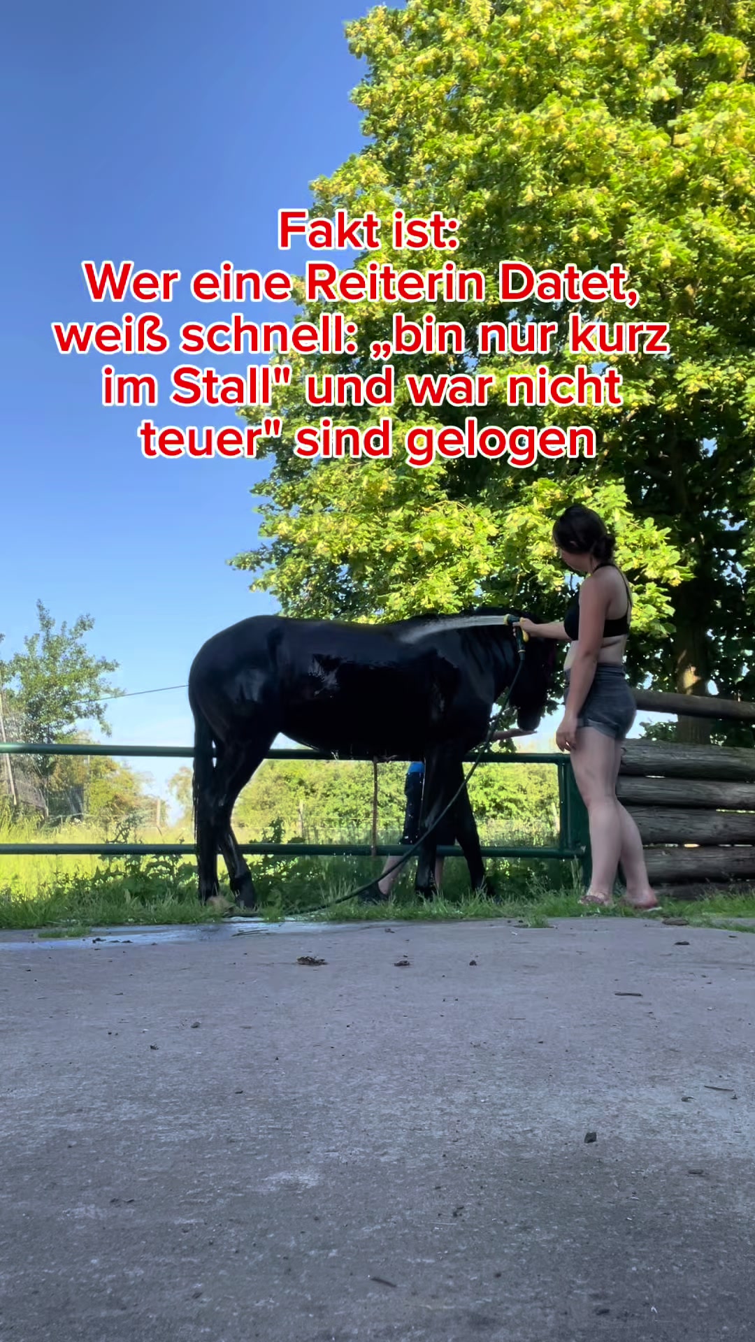 @maragutschee