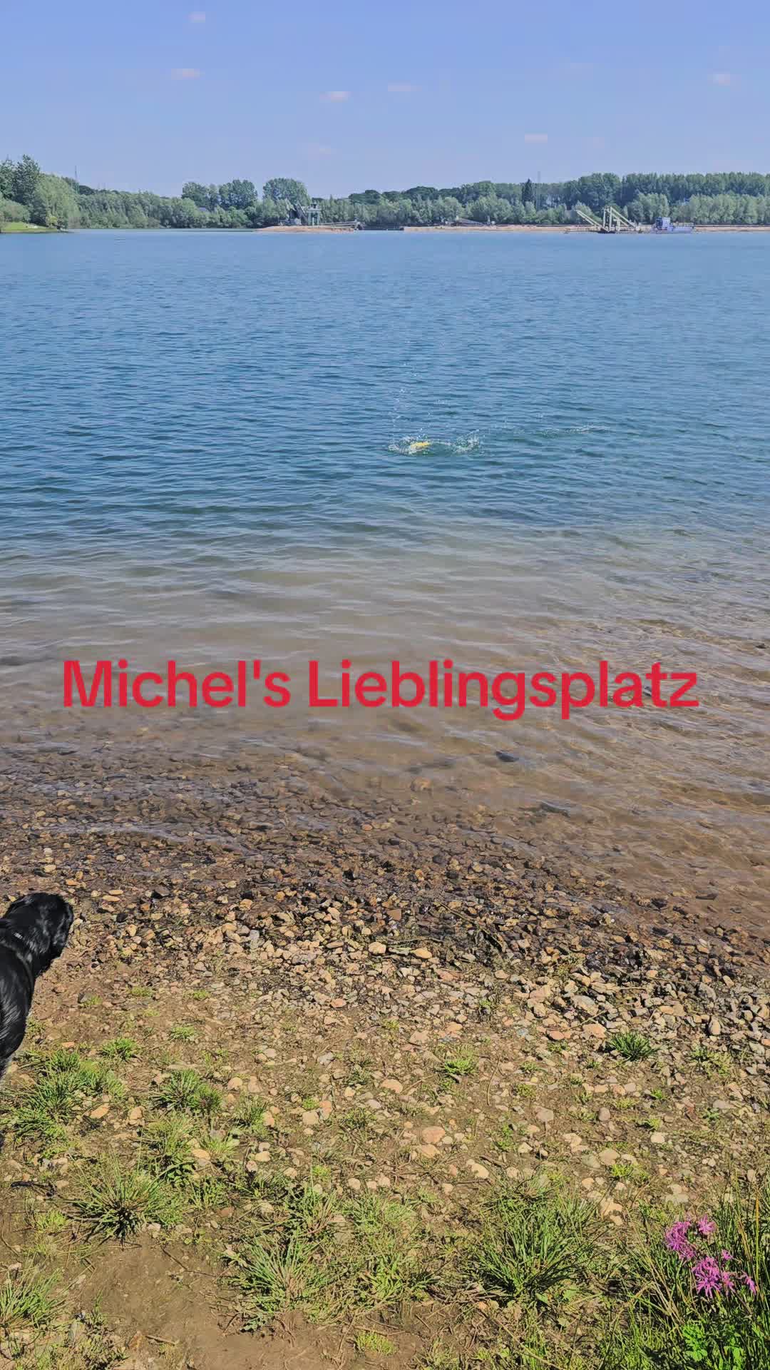 @AntonderBollerkopp