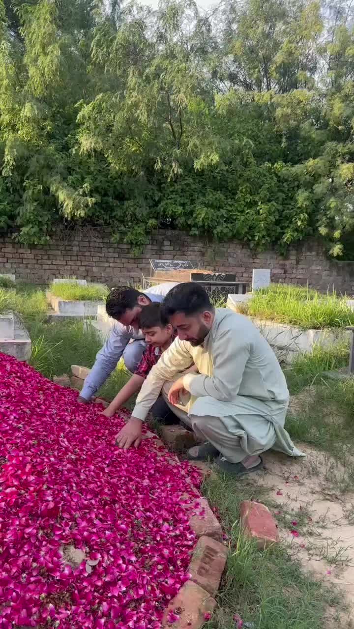 @kashmiri