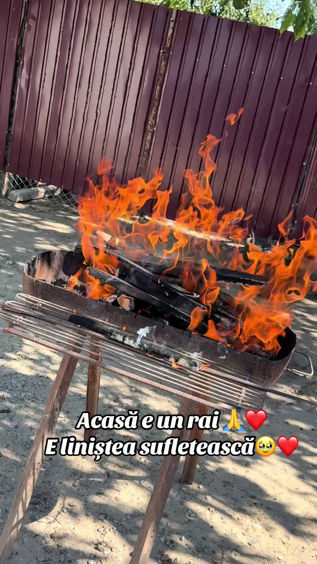 @D_i_k_a ❤️🇲🇩