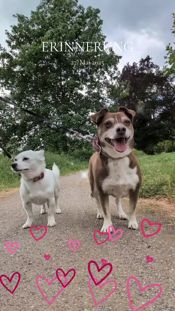 @🩷Mädels💜Trio❤️