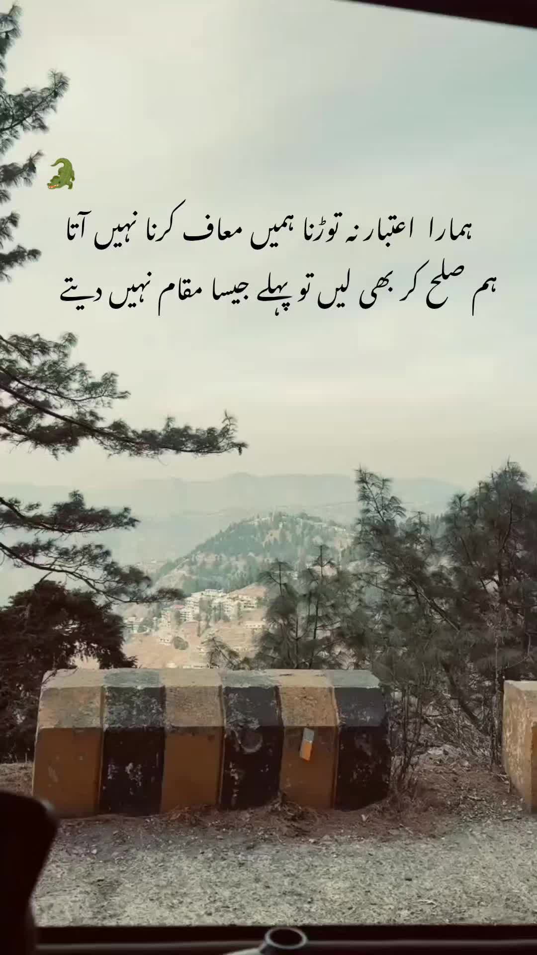 @✭🌷