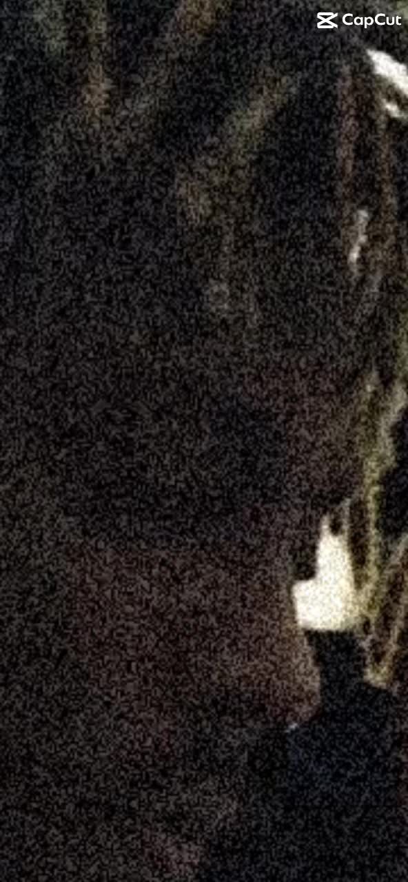 @LLJW LLXX🕊️🕊️🕊️