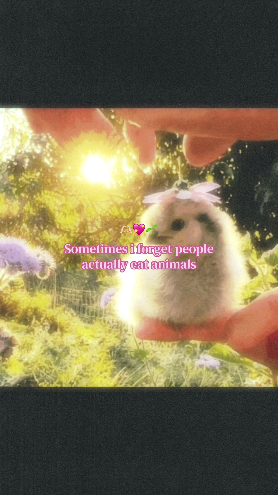 @₊˚⊹♡🧘🏼&zwj;♀️🌀🌞 ˚｡⋆౨ৎ