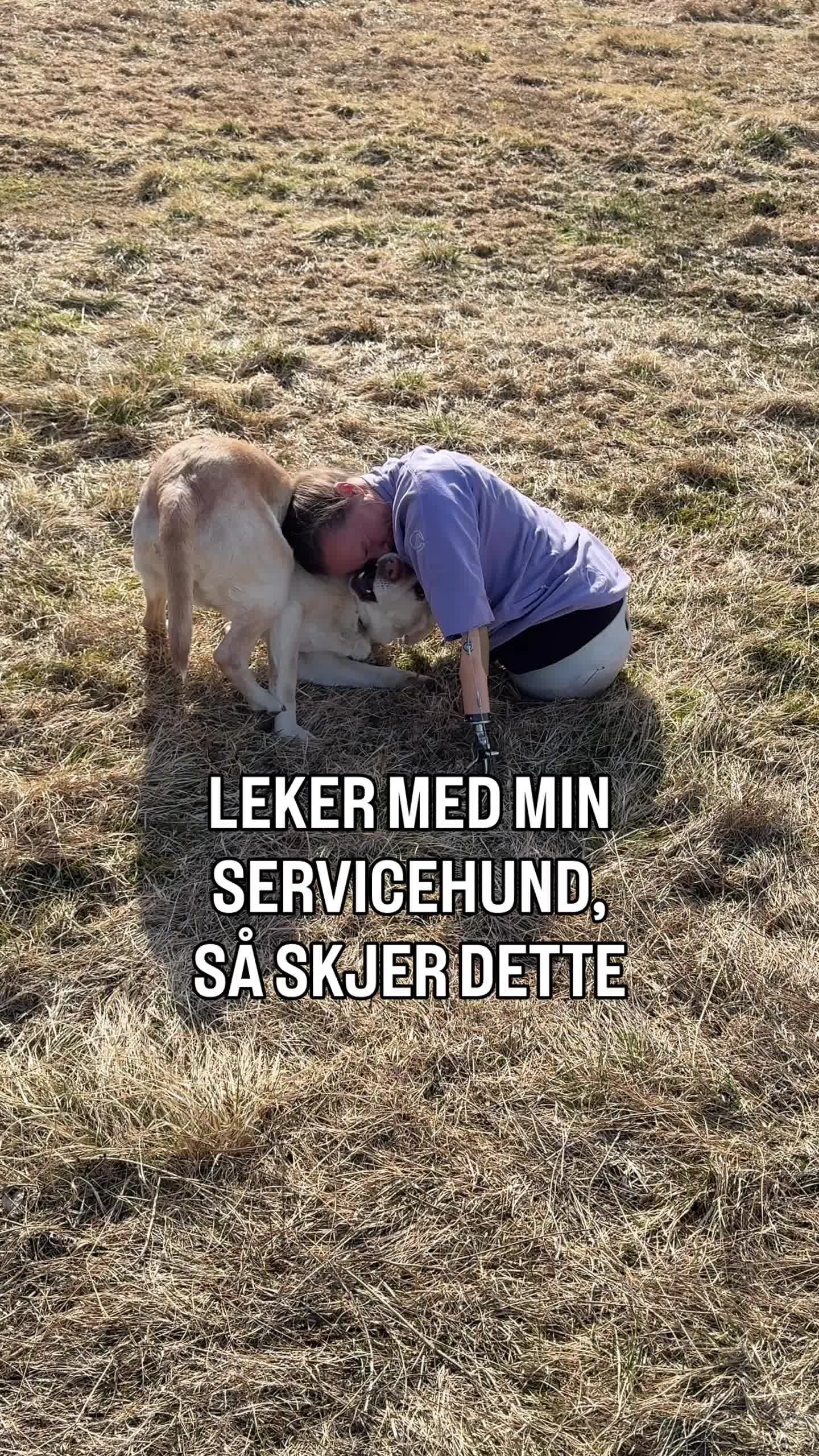 @MyHippiDog & Liv Tone 🇳🇴