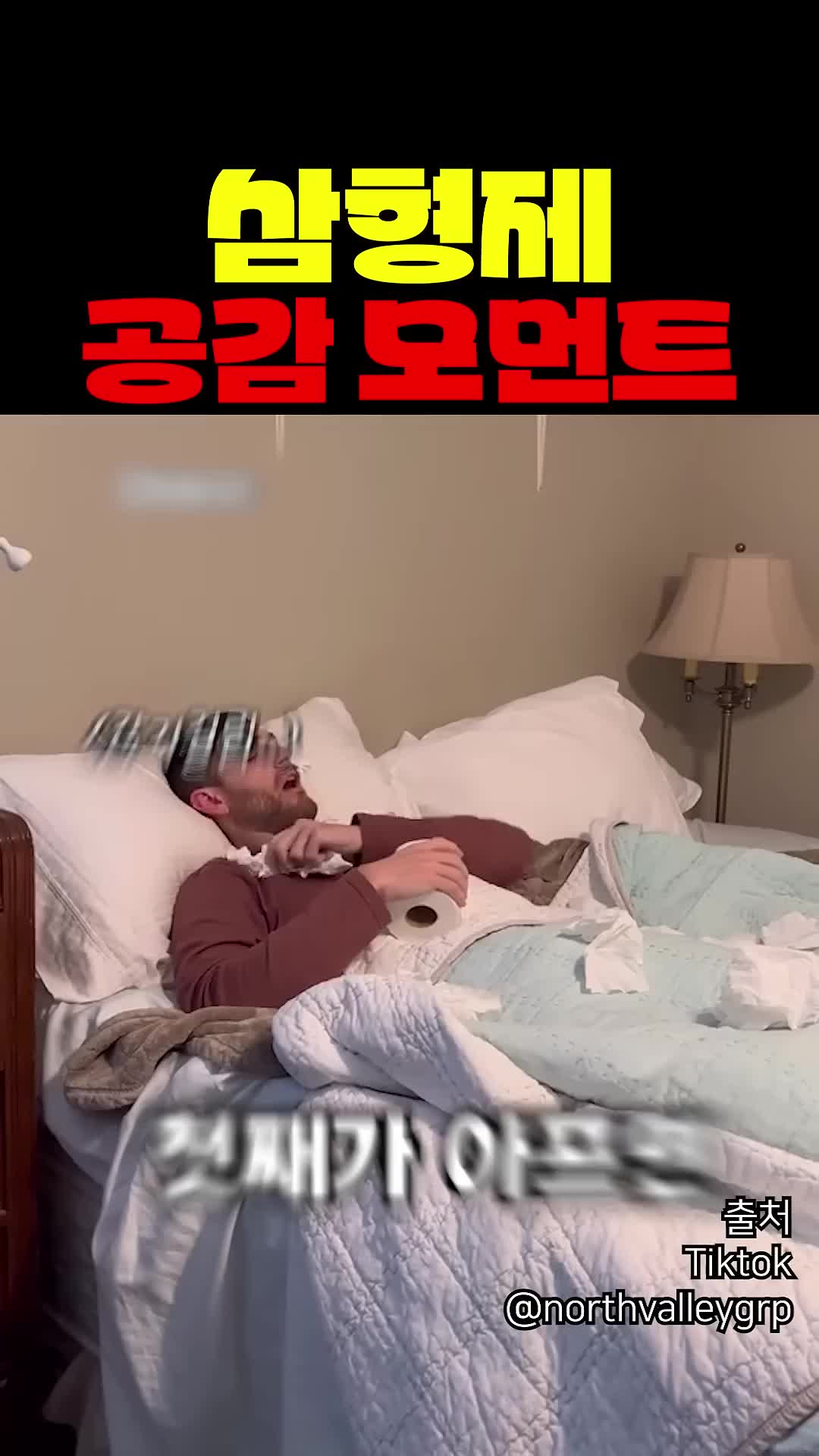 @짱아까미