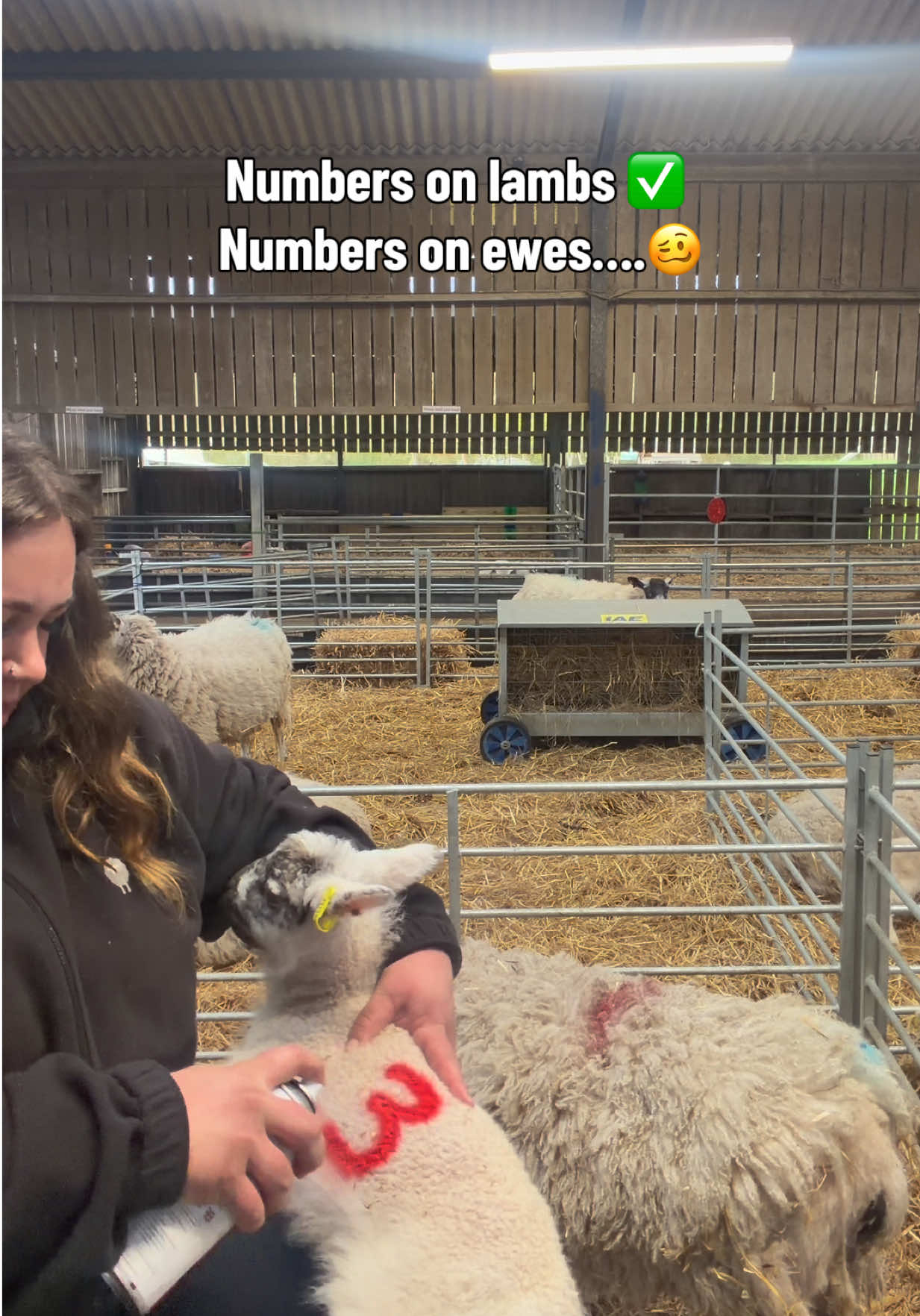 @Amy🐑🚜