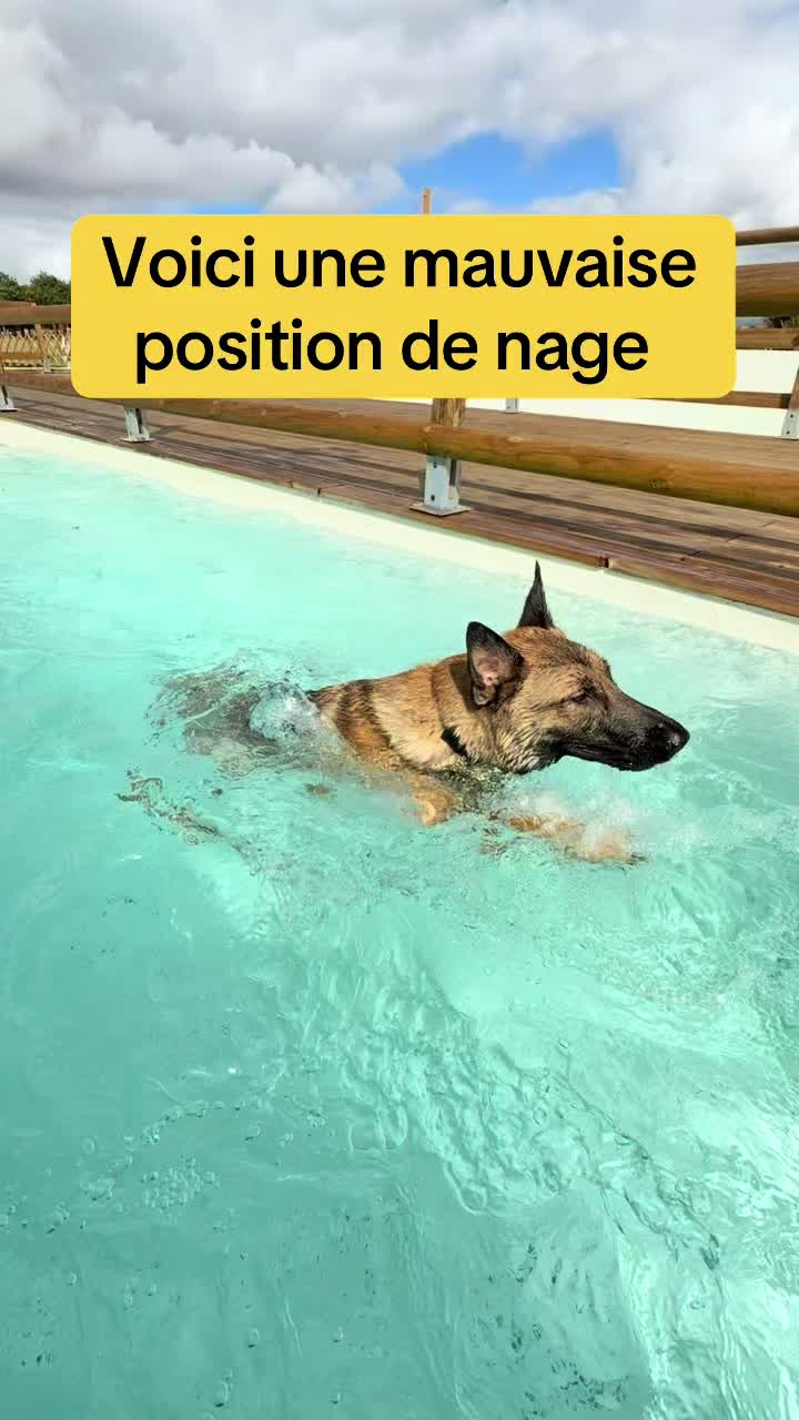 @Centre BienEtre Equin & Canin