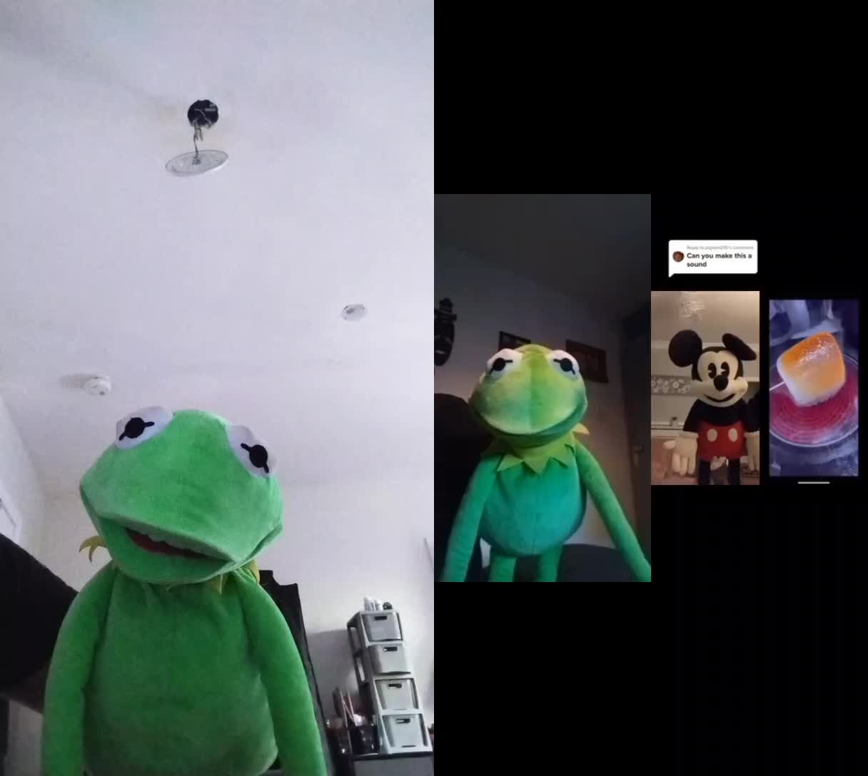 @Kermit And Friends 2026