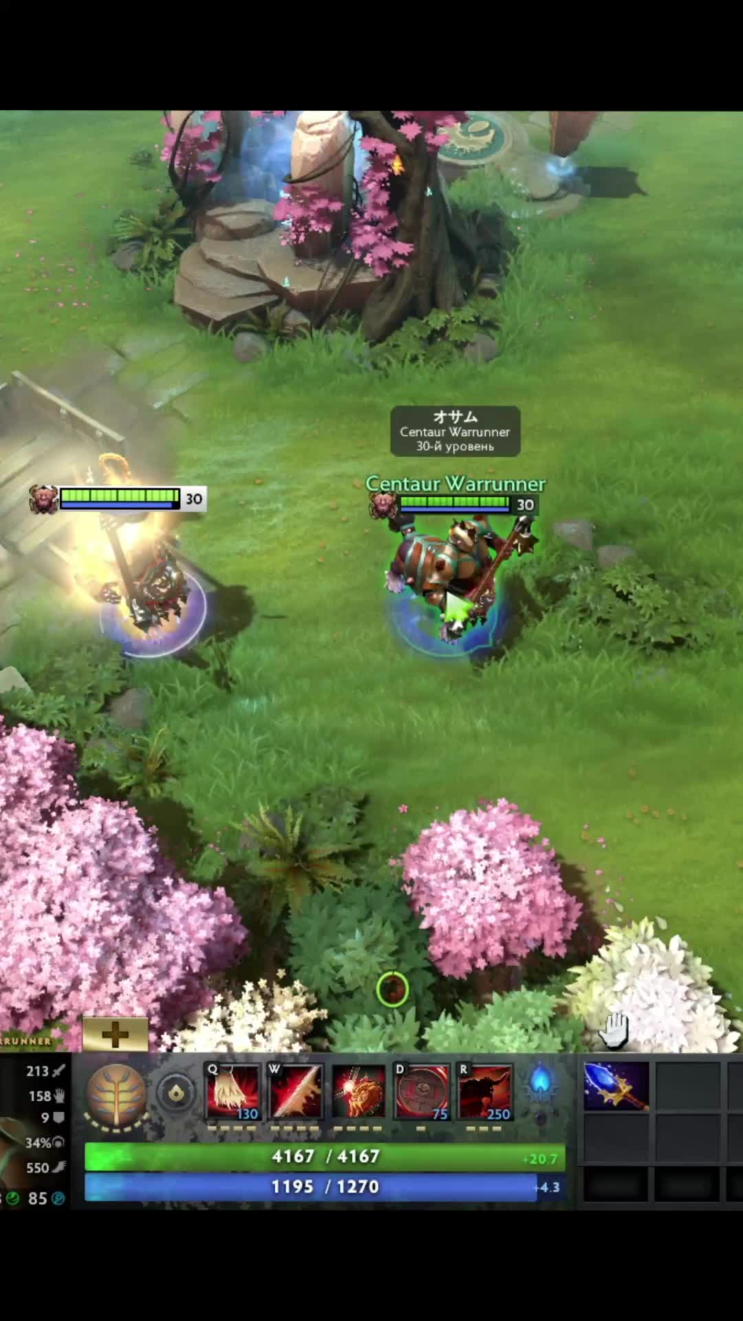 @DOTAHUB