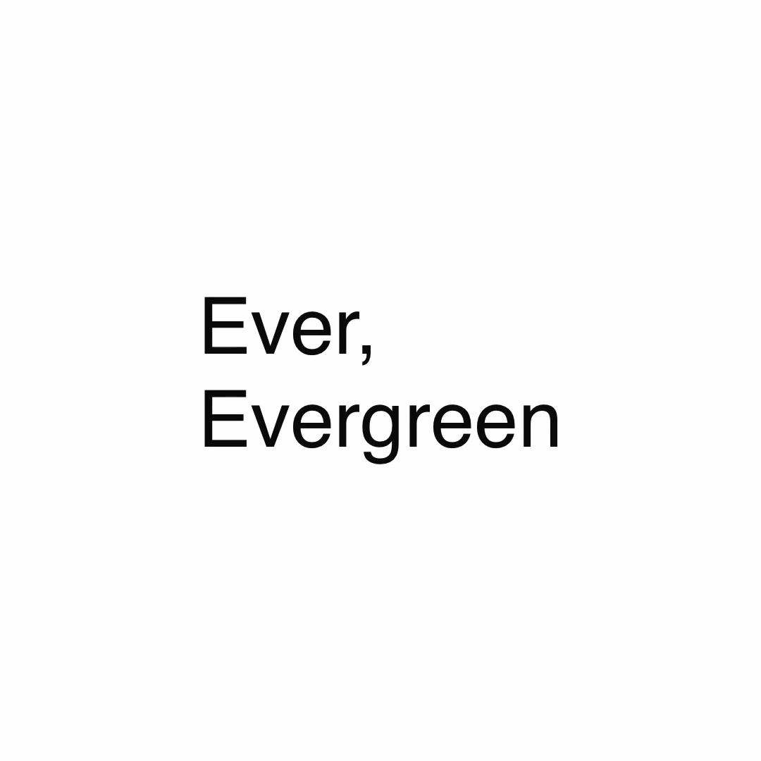 @trivioze lyrics