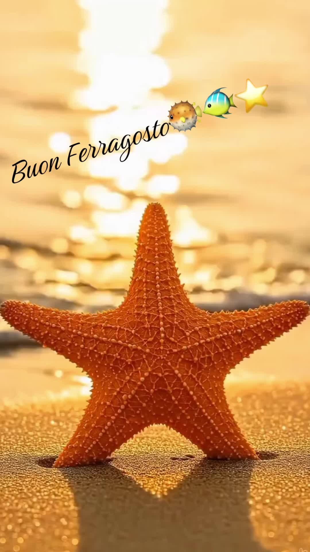 @𝓐𝓷𝓰𝔂76