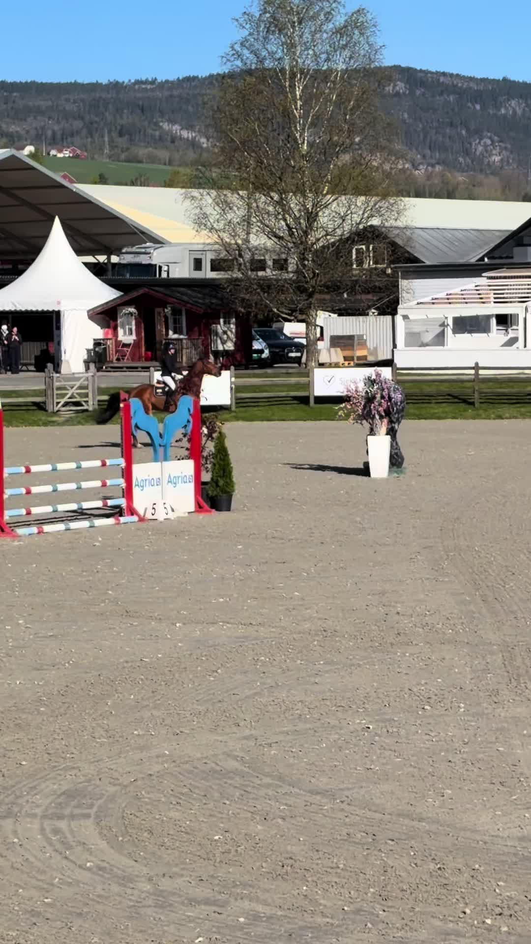 @hedda.equi