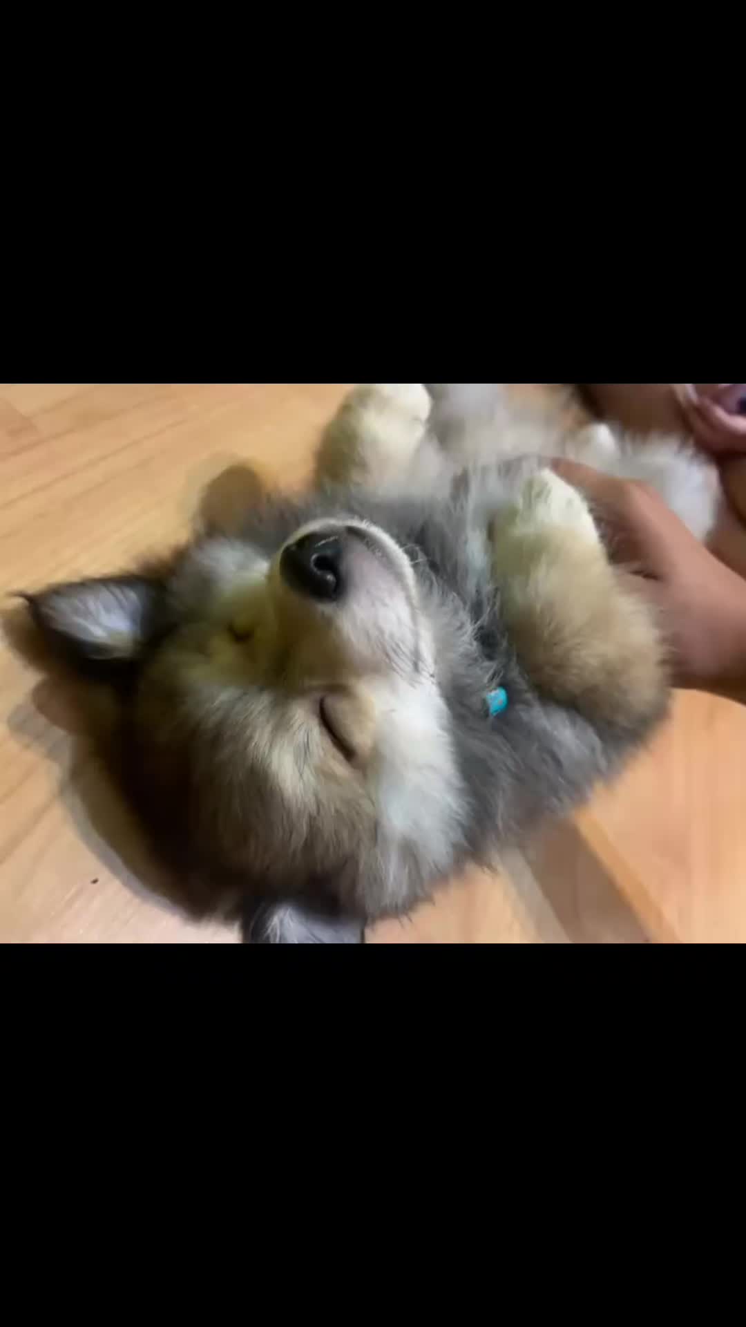 @Giusy๐๐๐ค
