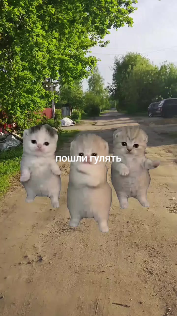 @#🌹Сакура🫶❀🌹