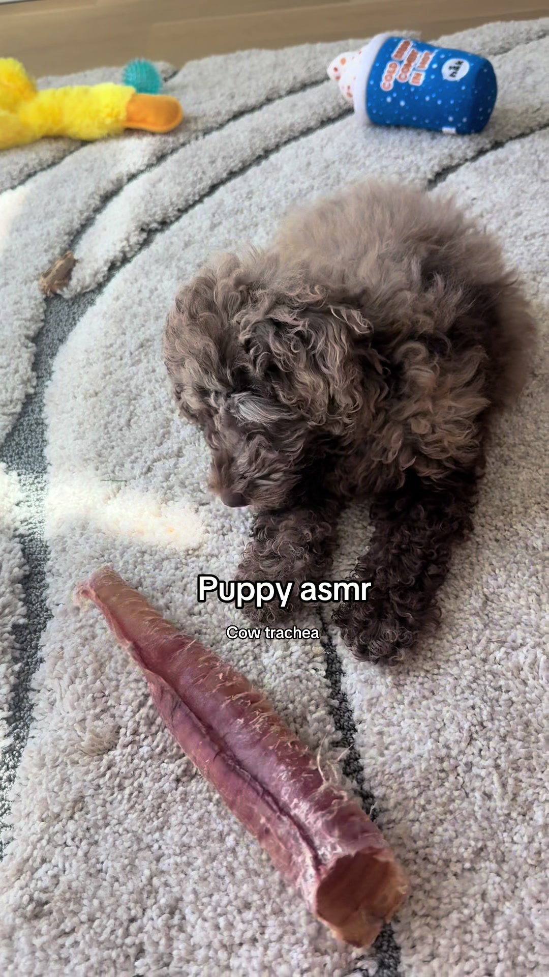 @Amber