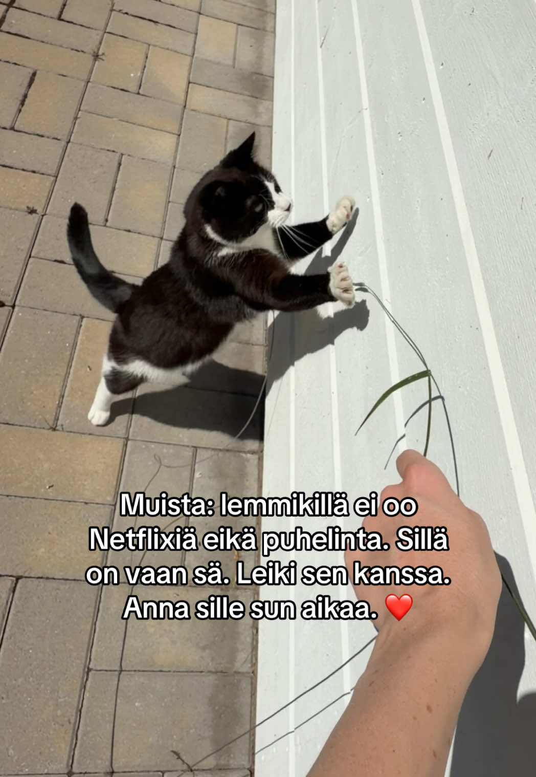 @Fanny Sannholm
